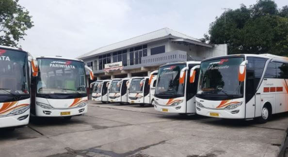 bus pariwisata terbaru